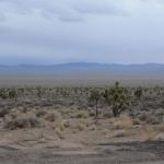 Deserto del Nevada